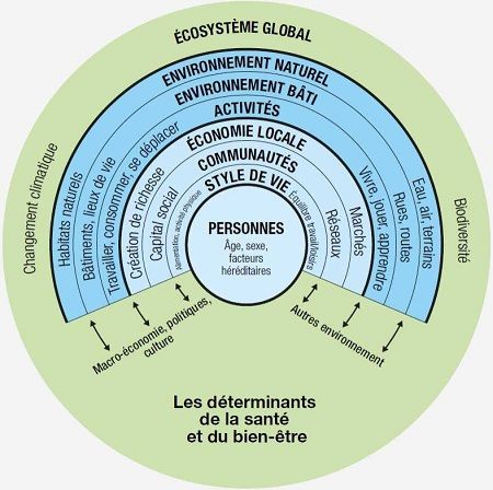 MISSION 3: PREVENTION SANTE ENVIRONNEMENT