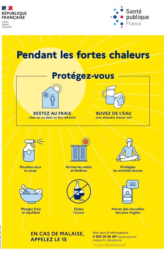 Info CANICULE