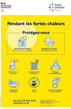 Info CANICULE