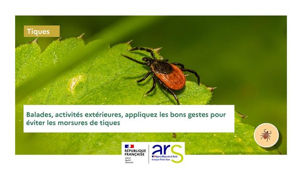 ALERTE : Nombreux cas d’encéphalites à tique en Auvergne-Rhône-Alpes