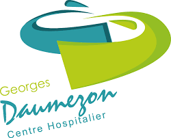 logo Centre Hospitalier Georges Daumézon