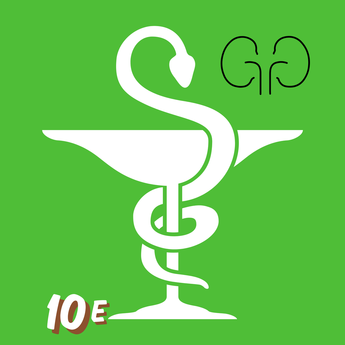 logo NÉPHRO 13