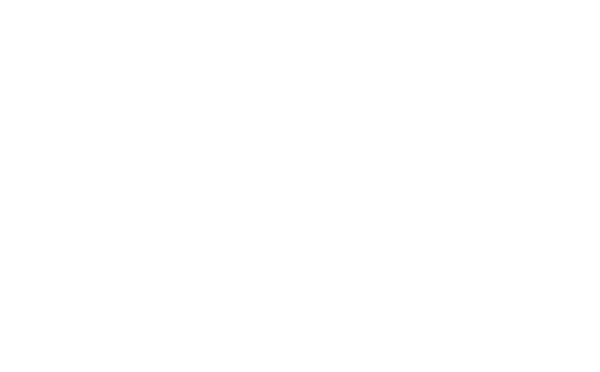 logo CPTS du Diois Saillans